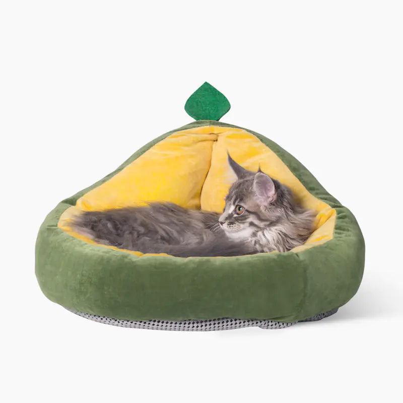 Detachable Cushion Cat Lounger